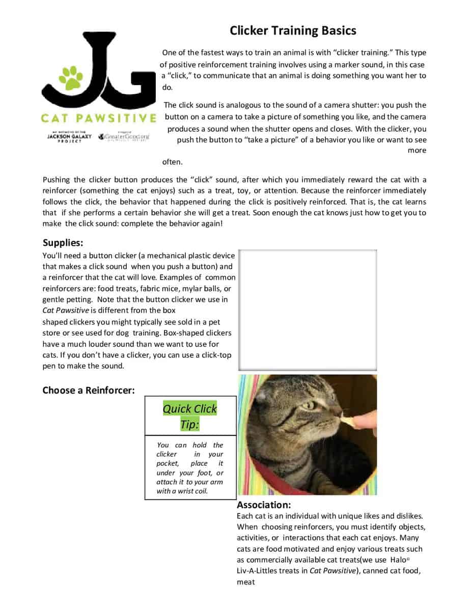 Jackson Galaxy: Clicker Training Basics - Maui Humane Society