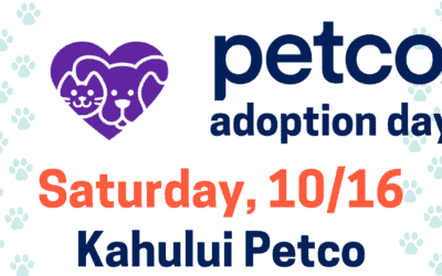 Petco Adoption Event & Pet Food Donation Drive