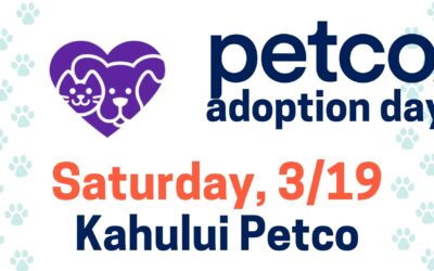 Petco Adoption Event