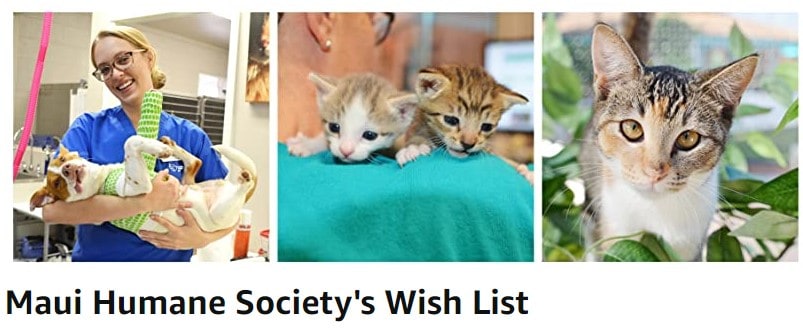 Amazon Smile Wishlist