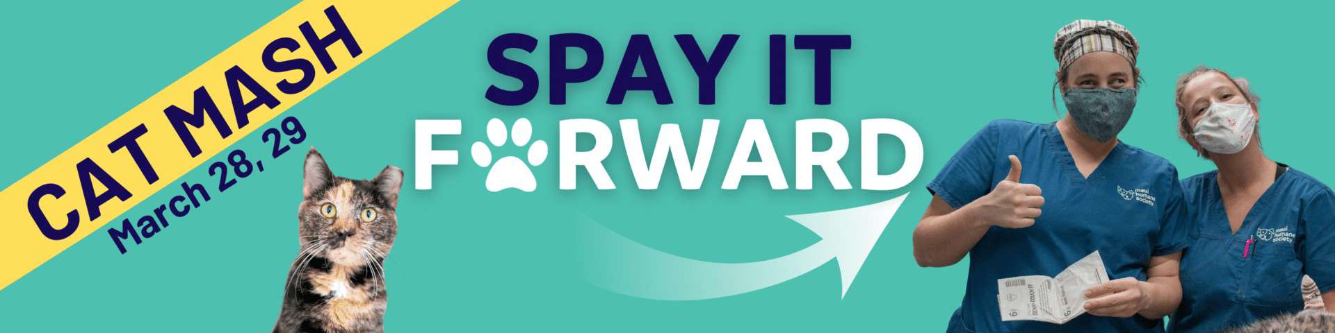 Spay It Forward Cat MASH (2)