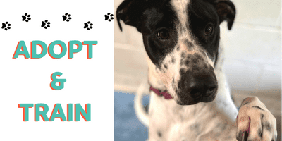 Adopt & Train Adopt & Train