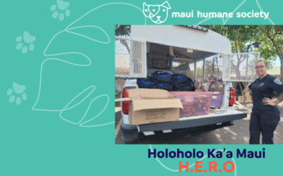 Holoholo Ka’a Maui