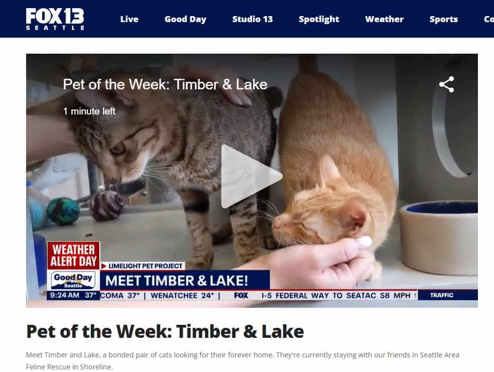 Timber & Lake on the news