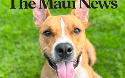 The Maui News: Maui Humane Society joins nationwide adoption event