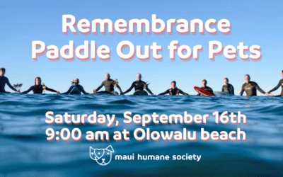 Paddle Out for Pets