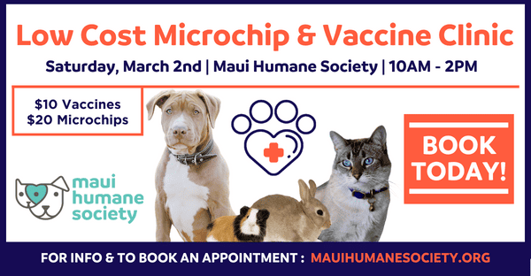 Microchip & Vaccine clinic march 2024