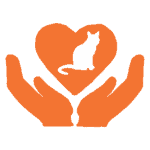 Outreach _ TNVR