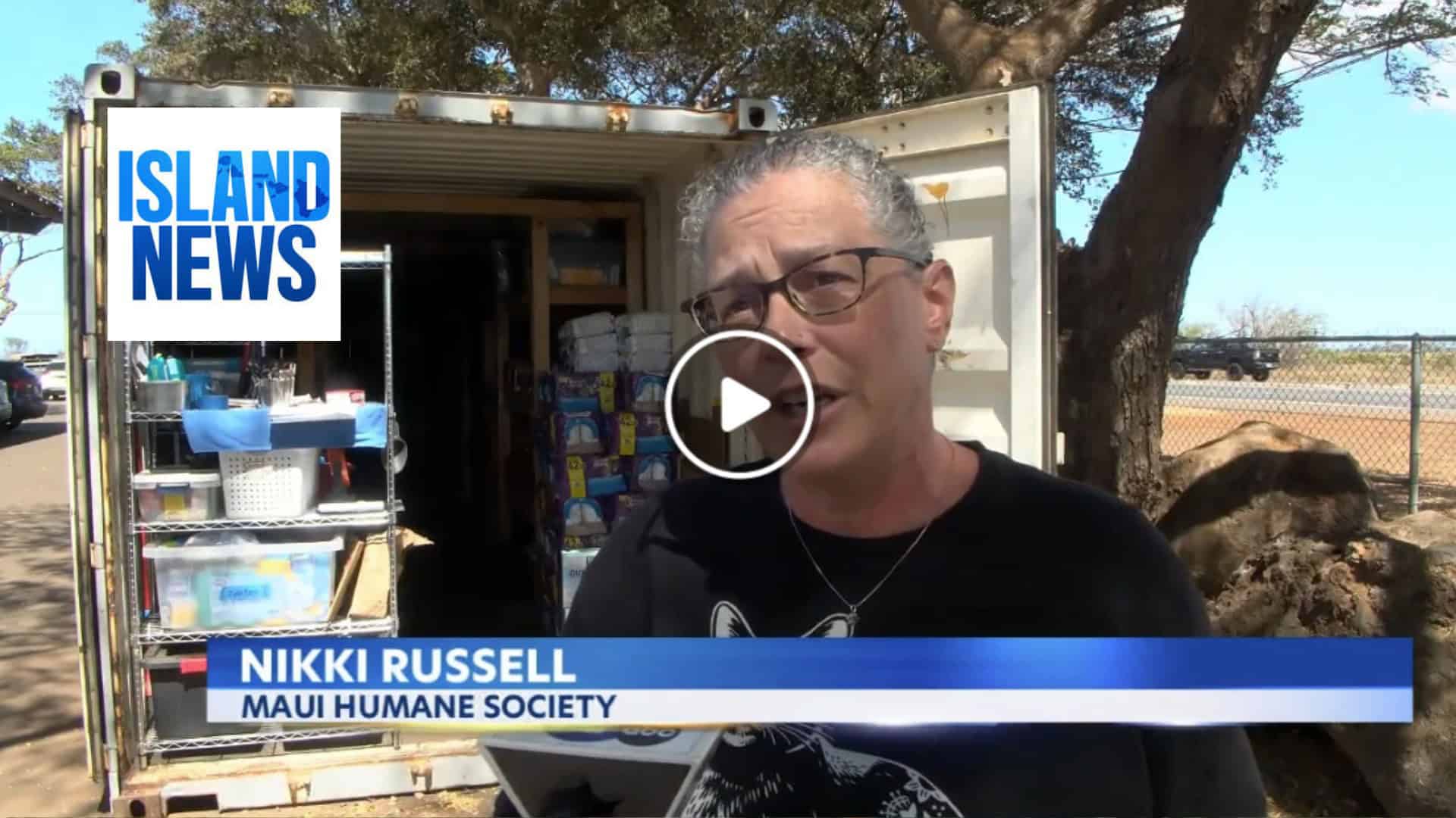 KITV burglary
