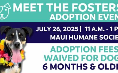 Meet The Fosters!