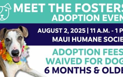 CANCELED: Meet The Fosters!