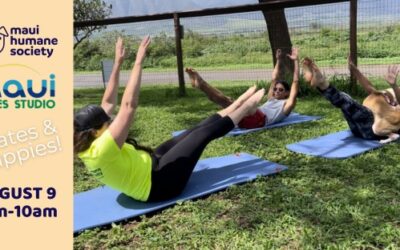 Pilates & Puppies!