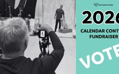 2026 Calendar Contest Fundraiser