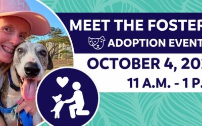 Meet The Fosters!