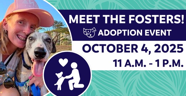 Meet the fosters 10/4/2025