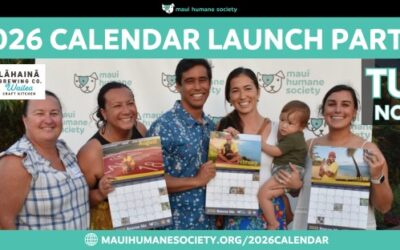 2026 Calendar Launch Party!