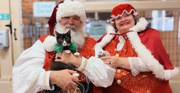 Holiday Pet Photos Maui Santa & Mrs Claus