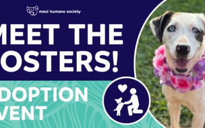 CANCELED: Meet The Fosters!