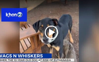 Gentle, sweet Usher searches for second chance