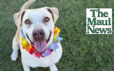 Pet of the Week: Happy