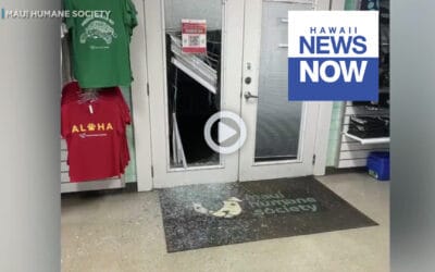 Maui Humane Society hit by thieves