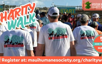Charity Walk 2026