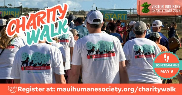 2026 Charity Walk - event (600 x 312 px) (1)