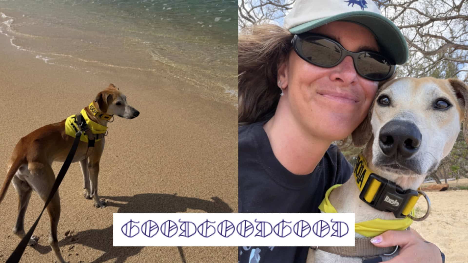 GoodGoodGood - Beach Buddies