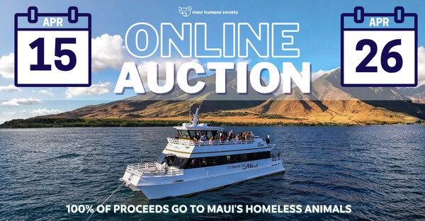 Spring Auction 2026 - events