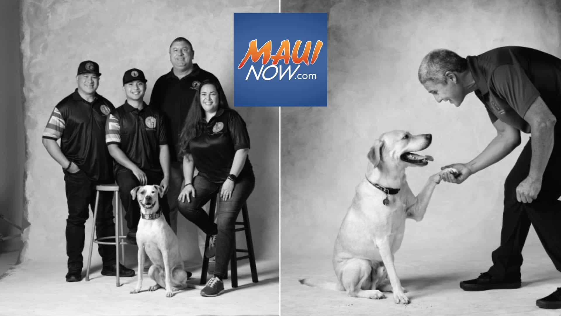 Maui Now Sae Design Group MHS Calendar