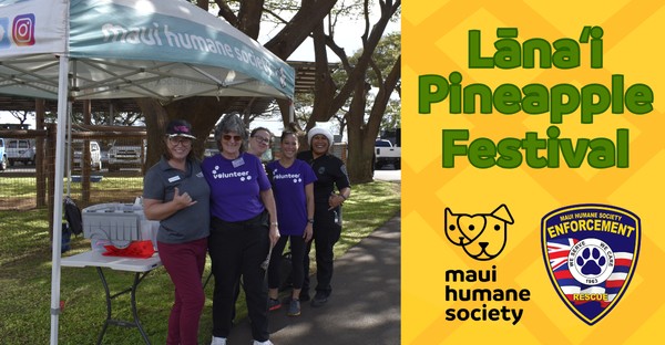 Lānaʻi Pineapple Festival – events Lānaʻi Pineapple Festival - events