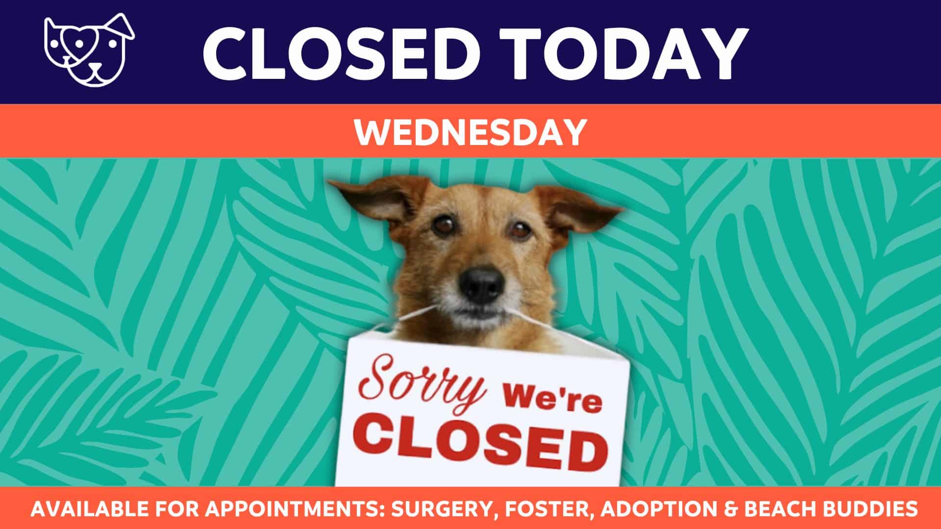 closed - popup