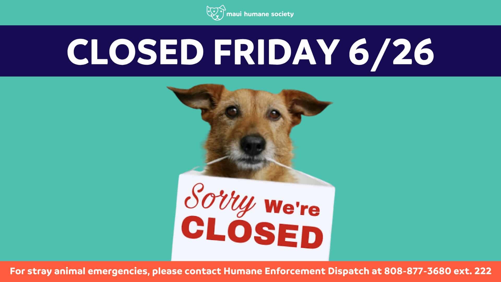 CLOSED FRIDAY JUNE 26