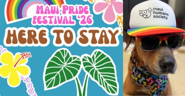 Maui pride 2026 – events Maui pride 2026 - events