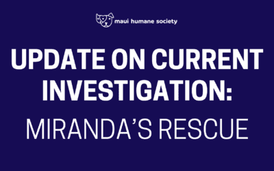 Update on Current Investigation: Miranda’s Rescue
