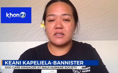 KHON2: Miranda’s Rescue Investigation