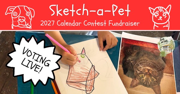 2027 calendar contest voting - events