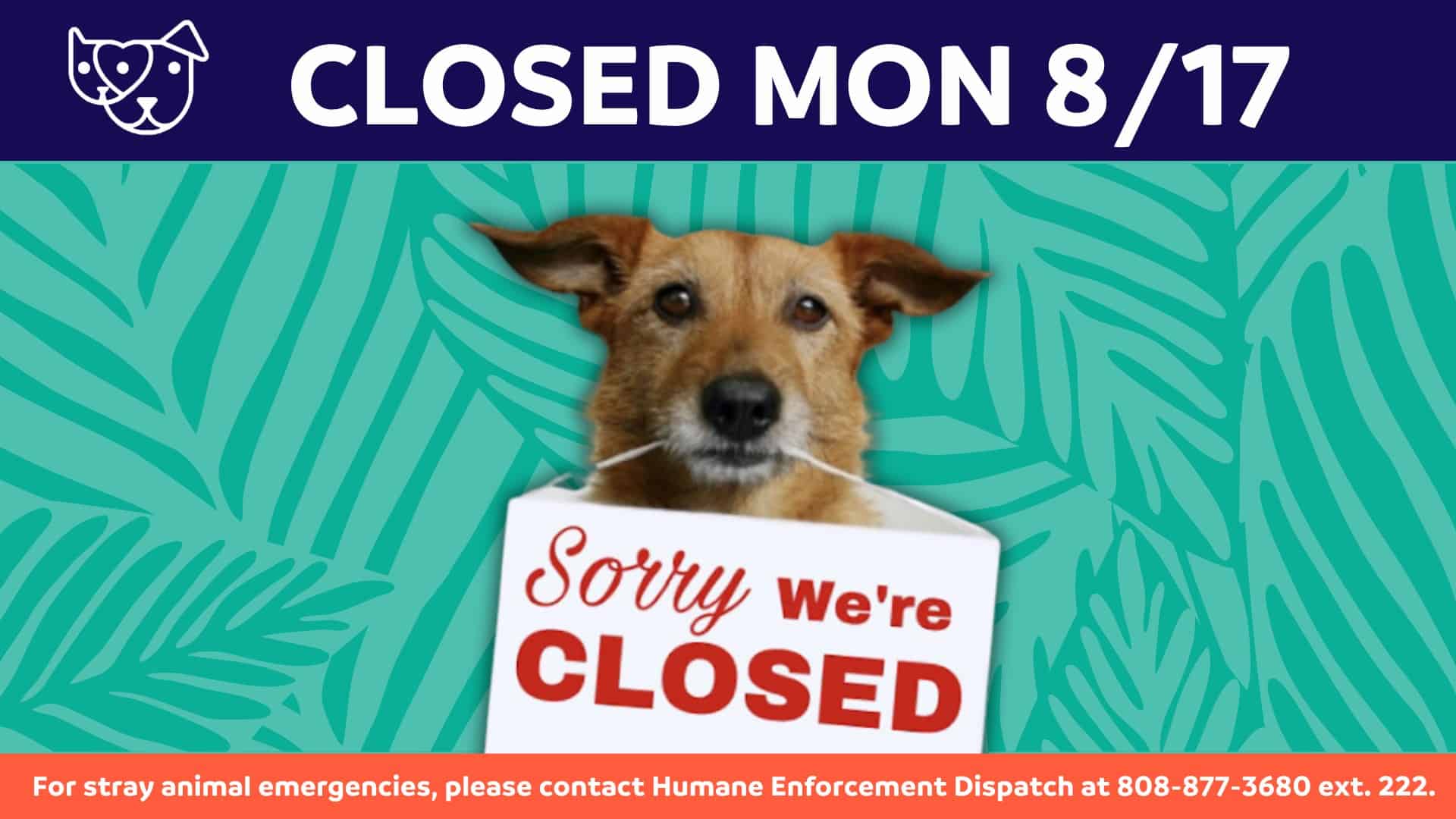 CLOSED 8/17/2026